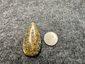 Oolite Cabochons