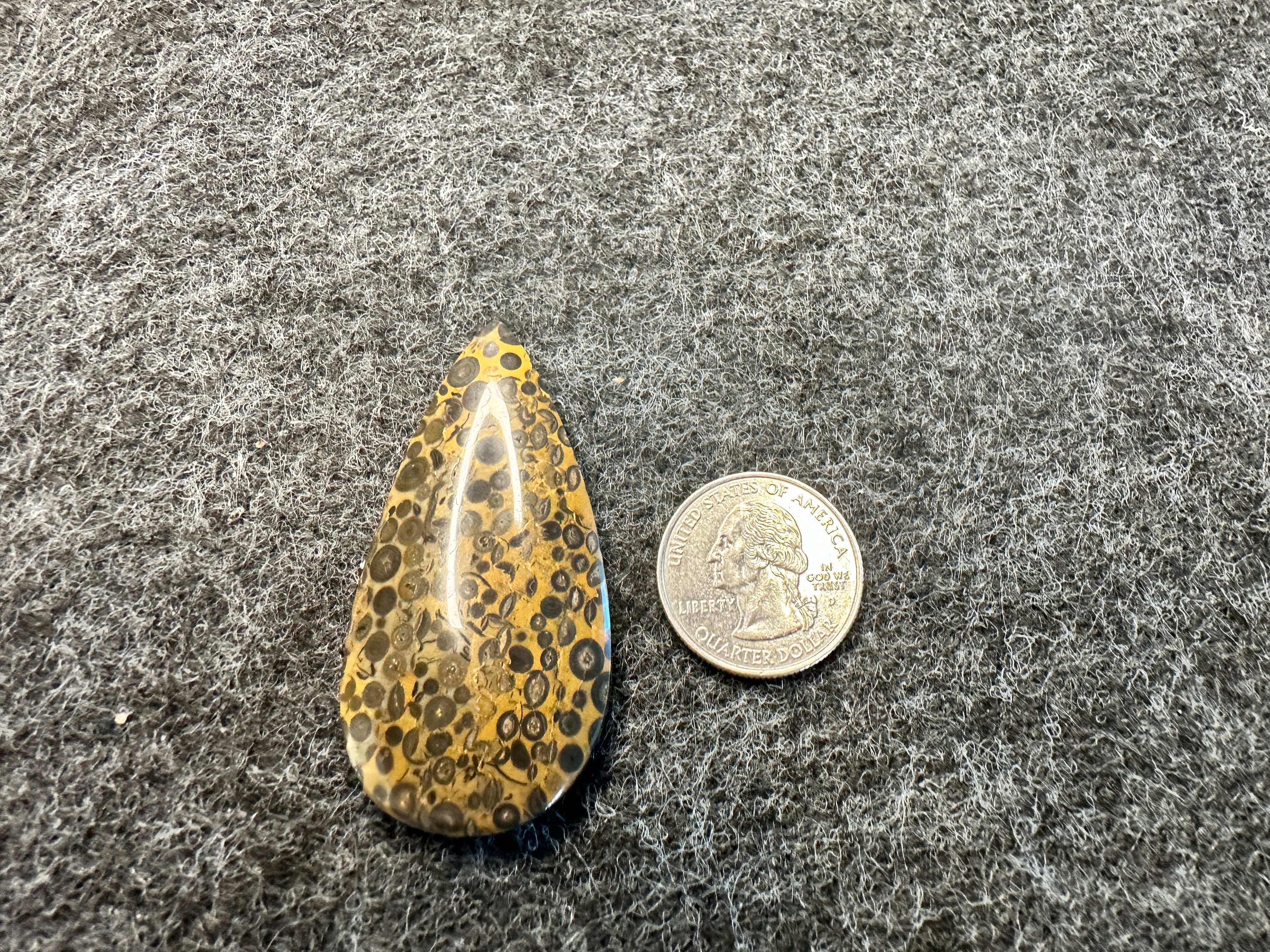 Oolite Cabochons