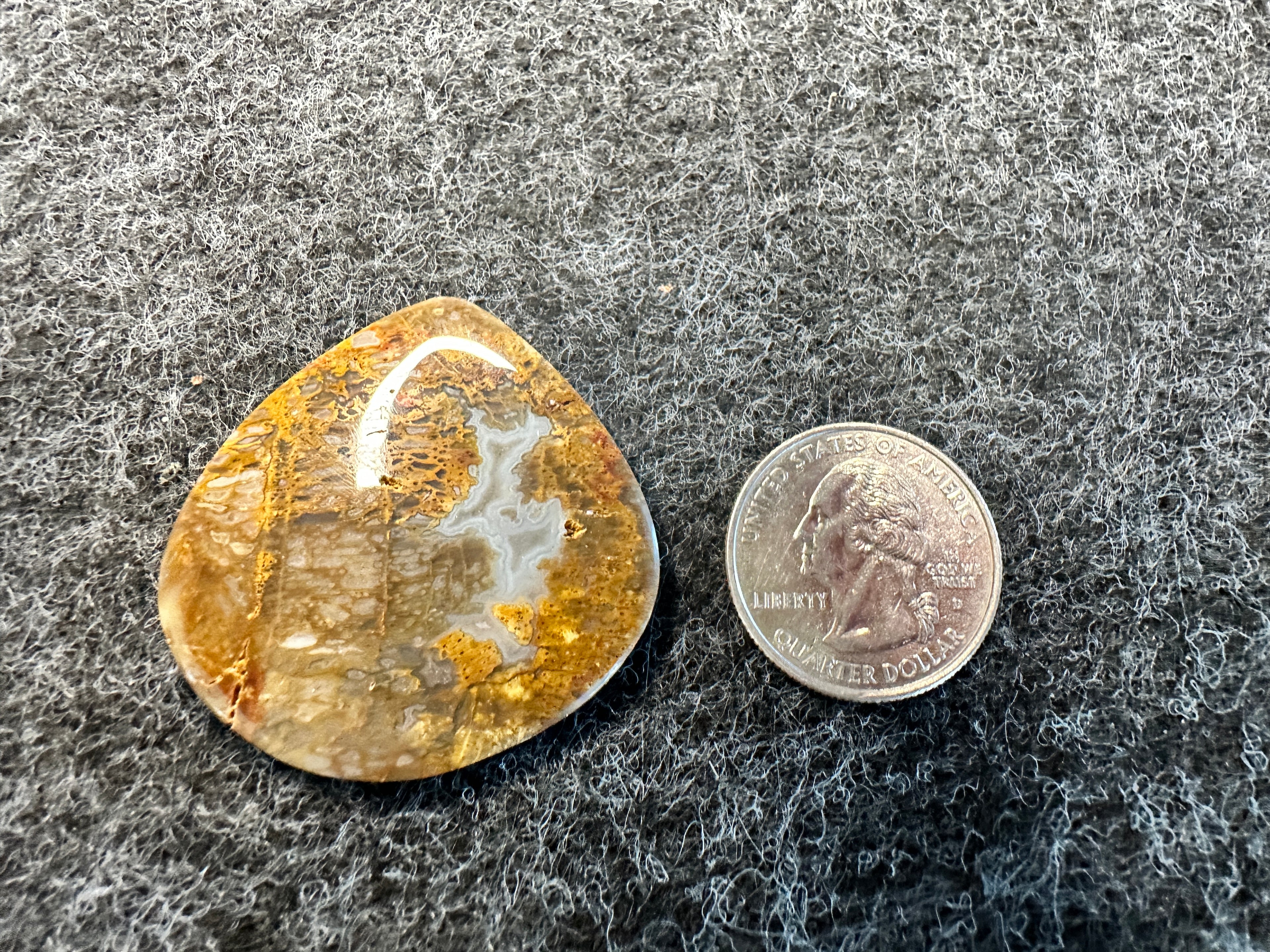 Yellow Moss Agate Cabochons