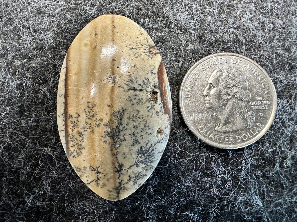 Dendritic Landscape Jasper Cabochons