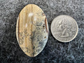 Dendritic Landscape Jasper Cabochons