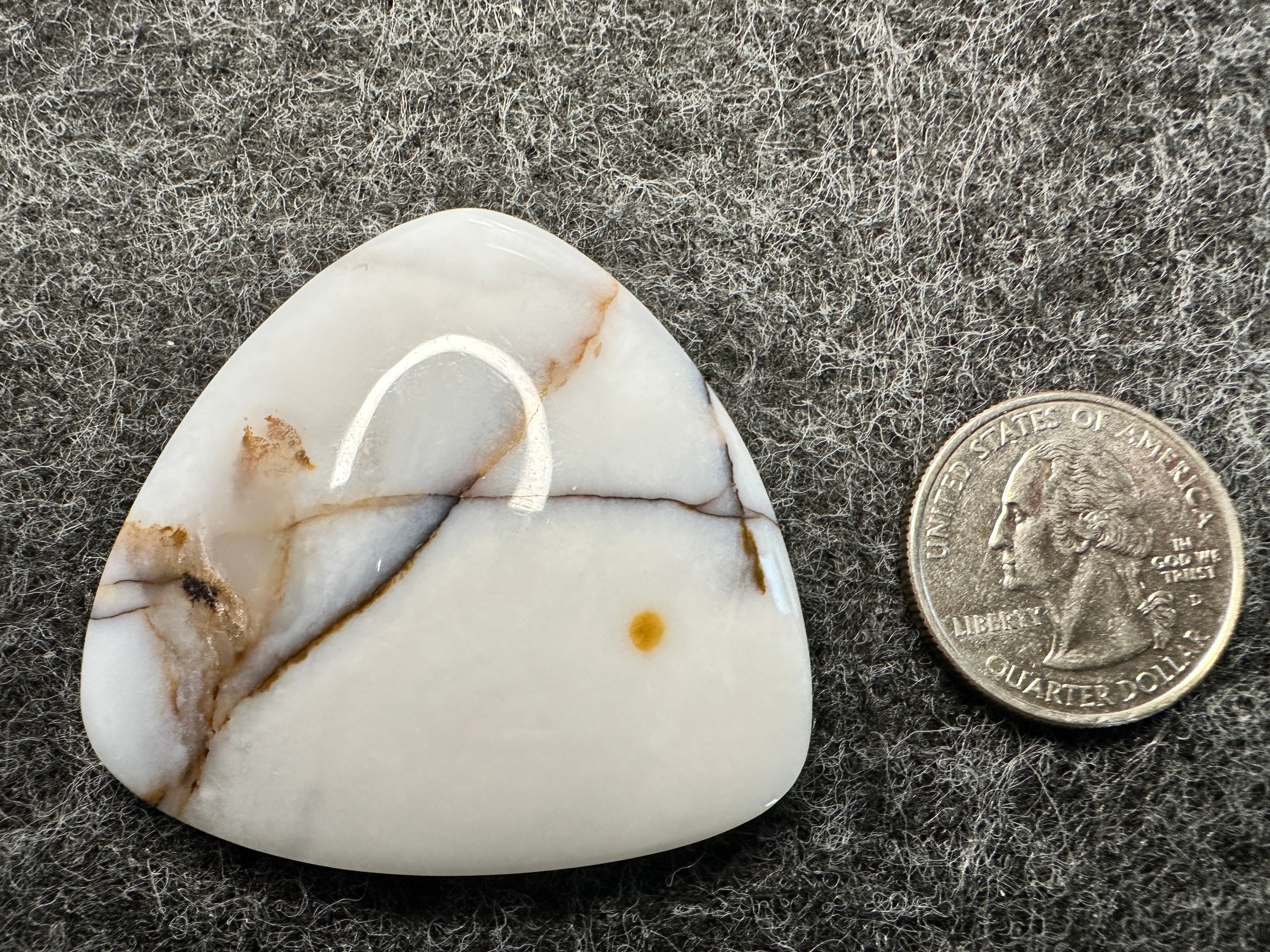 Polka Dot Agate/Jasper Cabochons