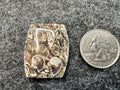 Turritella Agate Cabochons