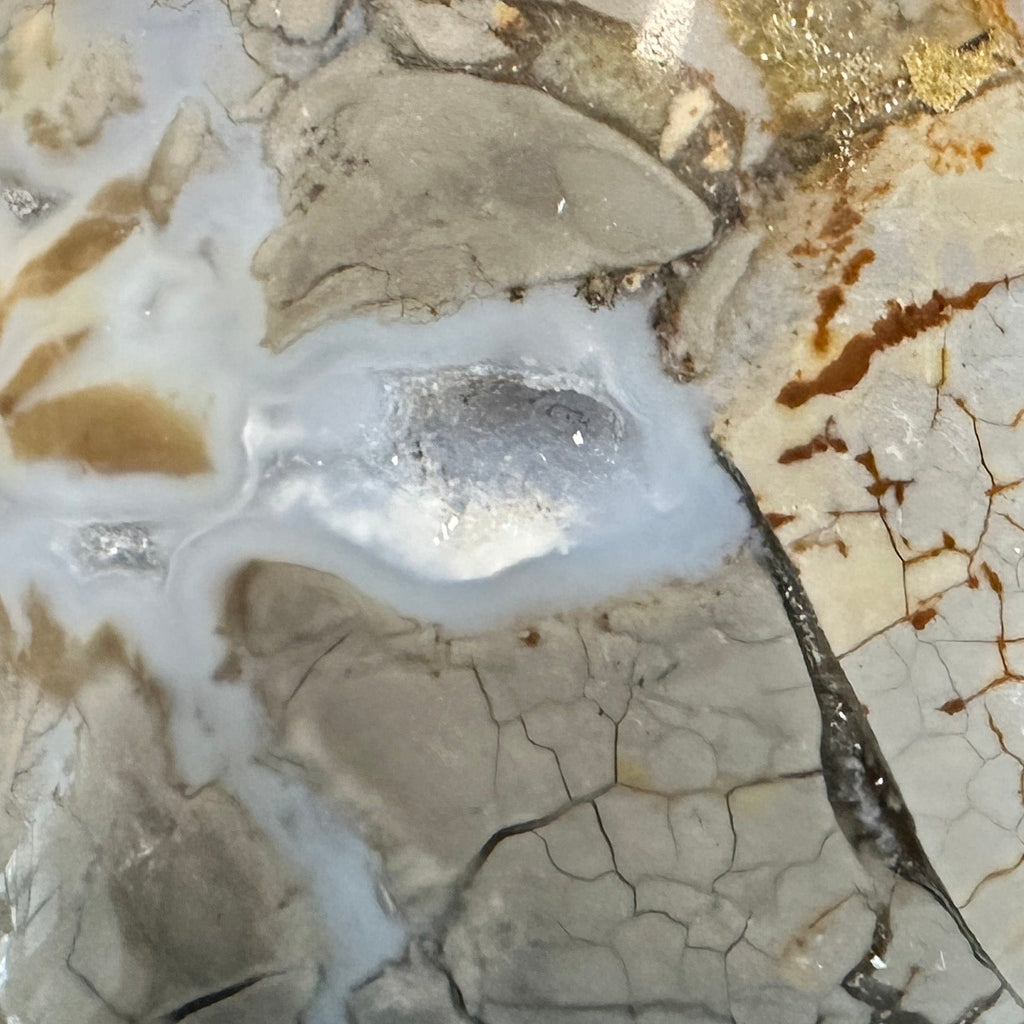 Ibis Jasper Cabochons