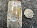 Ibis Jasper Cabochons