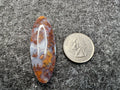Cady Mountain Jasper Cabochons