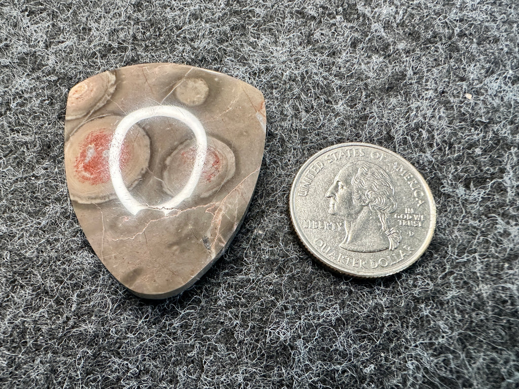 Red Dot Jasper Cabochons