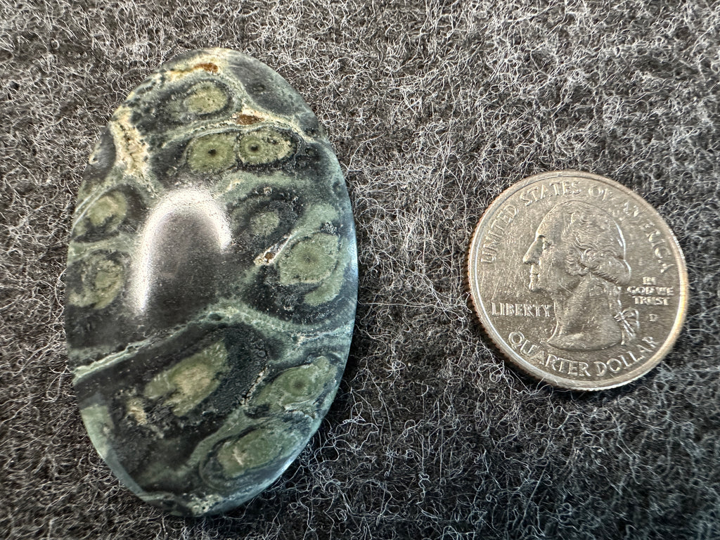 Kambaba Jasper Cabochons