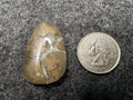 Septarian (Lightning Stone/Dragon Stone) Cabochons
