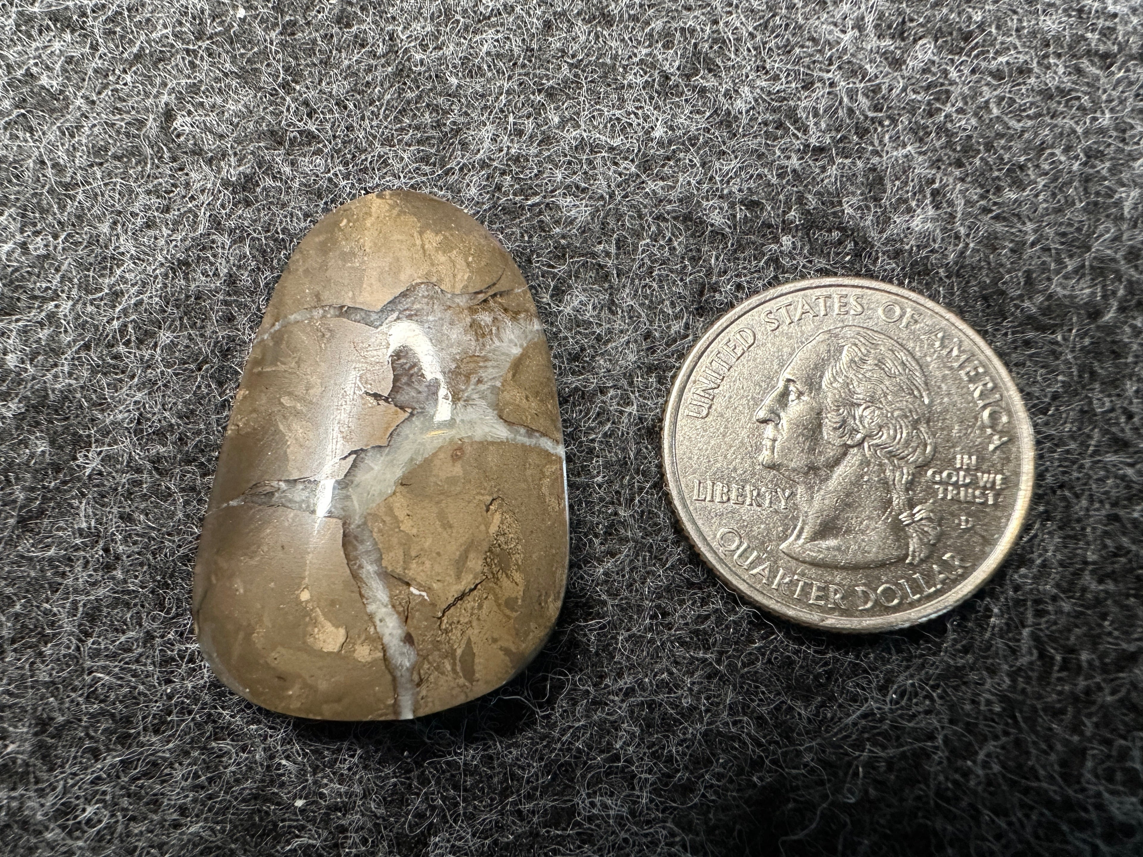 Septarian (Lightning Stone/Dragon Stone) Cabochons