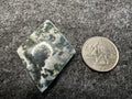 Green Tree Agate Cabochons