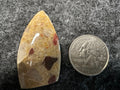 Michigan Pudding Stone
