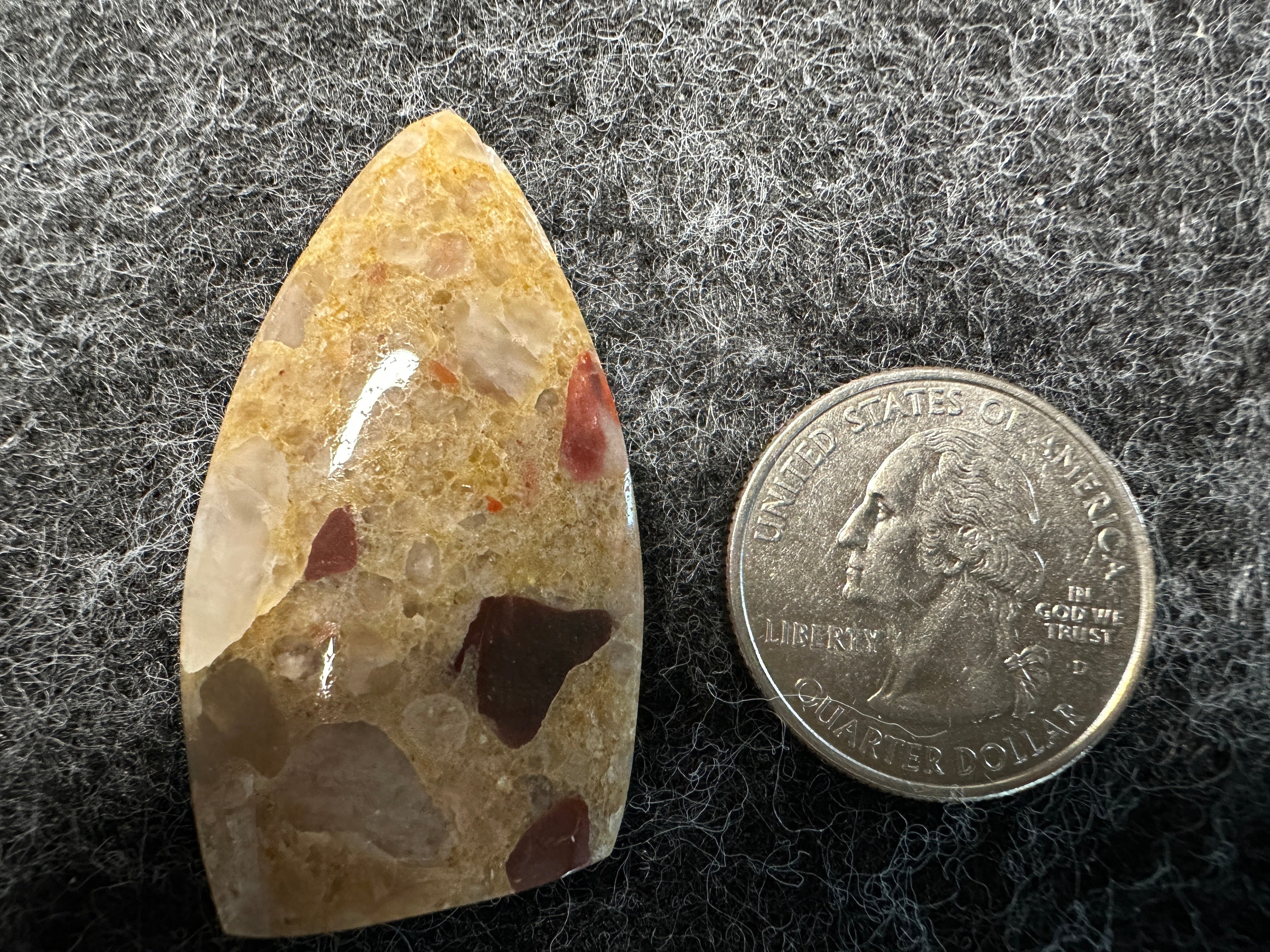 Michigan Pudding Stone
