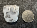 Dendritic Opal Cabochons