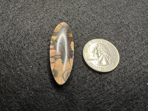 Andromeda Jasper Cabochons