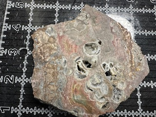 Mushroom Rhyolite Slab .21 lb  5.5 in × 5.0 in × 0.25–0.30 in (140 mm × 127 mm × 6–8 mm)