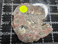 Mushroom Rhyolite Slab .19 lb  6.25 in × 5.5 in × 0.25–0.30 in (159 mm × 140 mm × 6–8 mm)