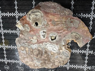 Mushroom Rhyolite Slab .19 lb  6.25 in × 5.5 in × 0.25–0.30 in (159 mm × 140 mm × 6–8 mm)