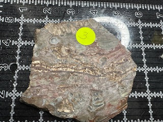 Mushroom Rhyolite Slab .24lb 5.75 in × 5.25 in × 0.25–0.30 in (146 mm × 133 mm × 6–8 mm)