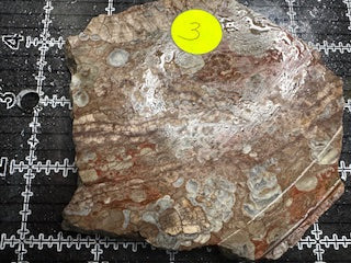 Mushroom Rhyolite Slab .24lb 5.75 in × 5.25 in × 0.25–0.30 in (146 mm × 133 mm × 6–8 mm)