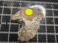 Mushroom Rhyolite Slab .19lb 5.25 in × 4.25 in × 0.25–0.30 in (133 mm × 108 mm × 6–8 mm)