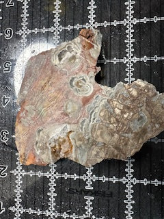 Mushroom Rhyolite Slab .19lb 5.25 in × 4.25 in × 0.25–0.30 in (133 mm × 108 mm × 6–8 mm)