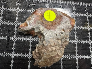 Mushroom Rhyolite Slab .19lb 5.25 in × 4.25 in × 0.25–0.30 in (133 mm × 108 mm × 6–8 mm)
