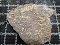 Mushroom Rhyolite Slab .26lb  6.75 in × 5.75 in × 0.25–0.30 in (171 mm × 146 mm × 6–8 mm)
