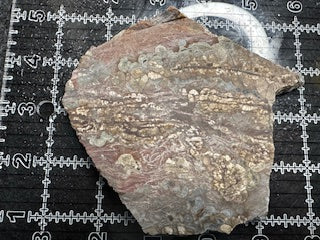Mushroom Rhyolite Slab .25lb  6.5 in × 5.75 in × 0.25–0.30 in (165 mm × 146 mm × 6–8 mm)