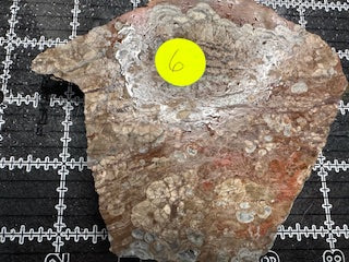 Mushroom Rhyolite Slab .25lb  6.5 in × 5.75 in × 0.25–0.30 in (165 mm × 146 mm × 6–8 mm)