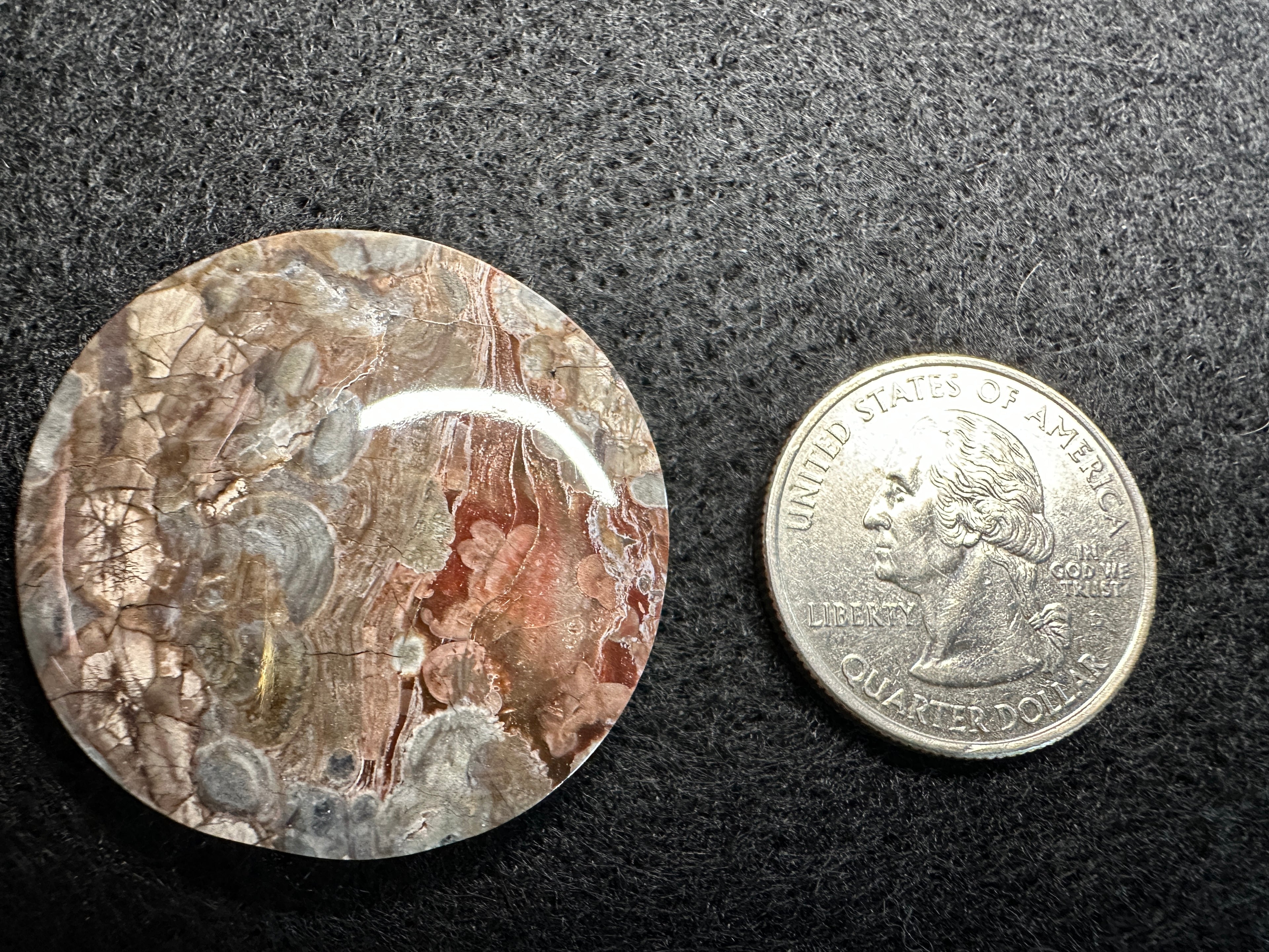 Mushroom Rhyolite Cabochons