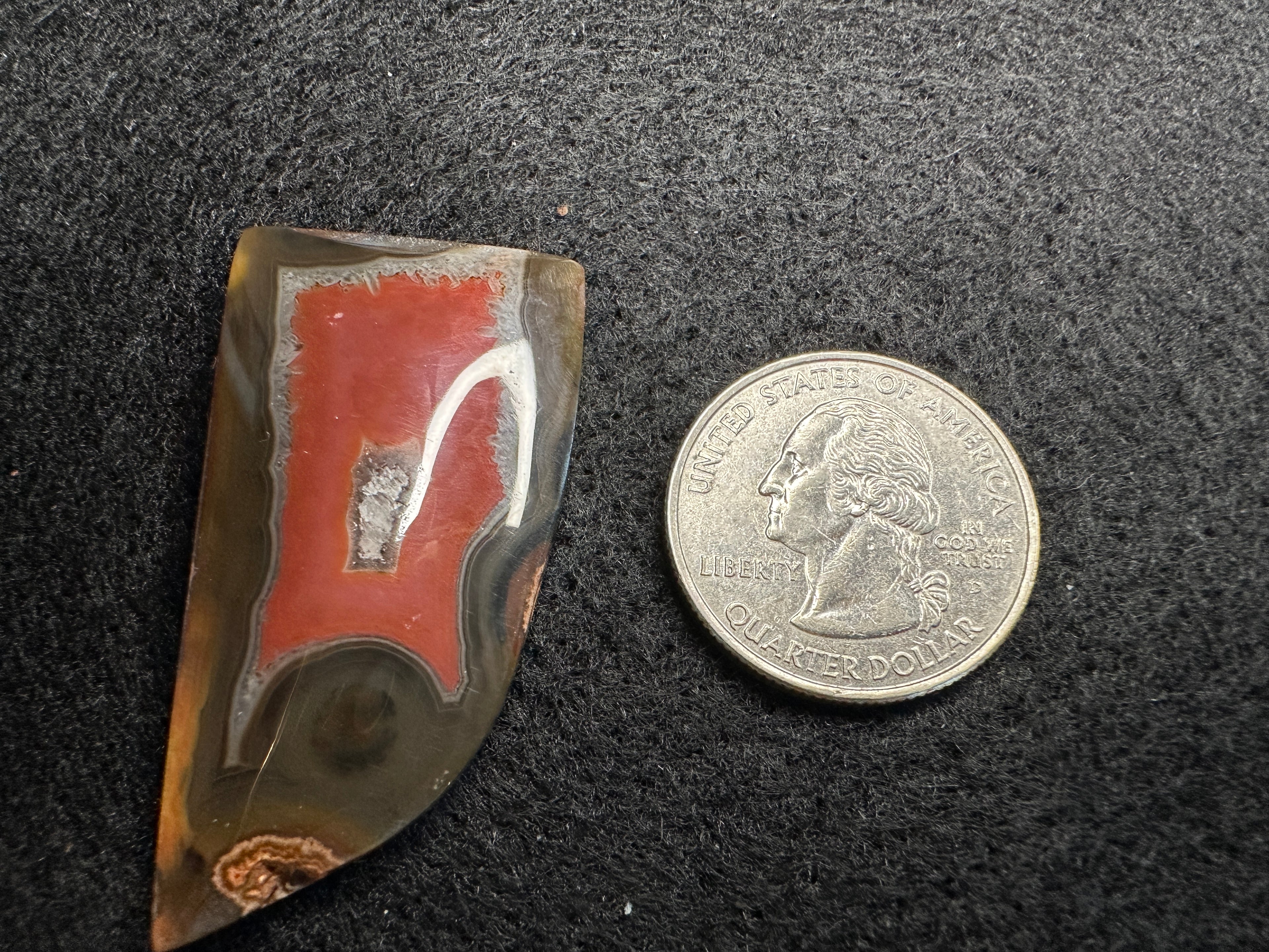 Condor Seam Agate Cabochons