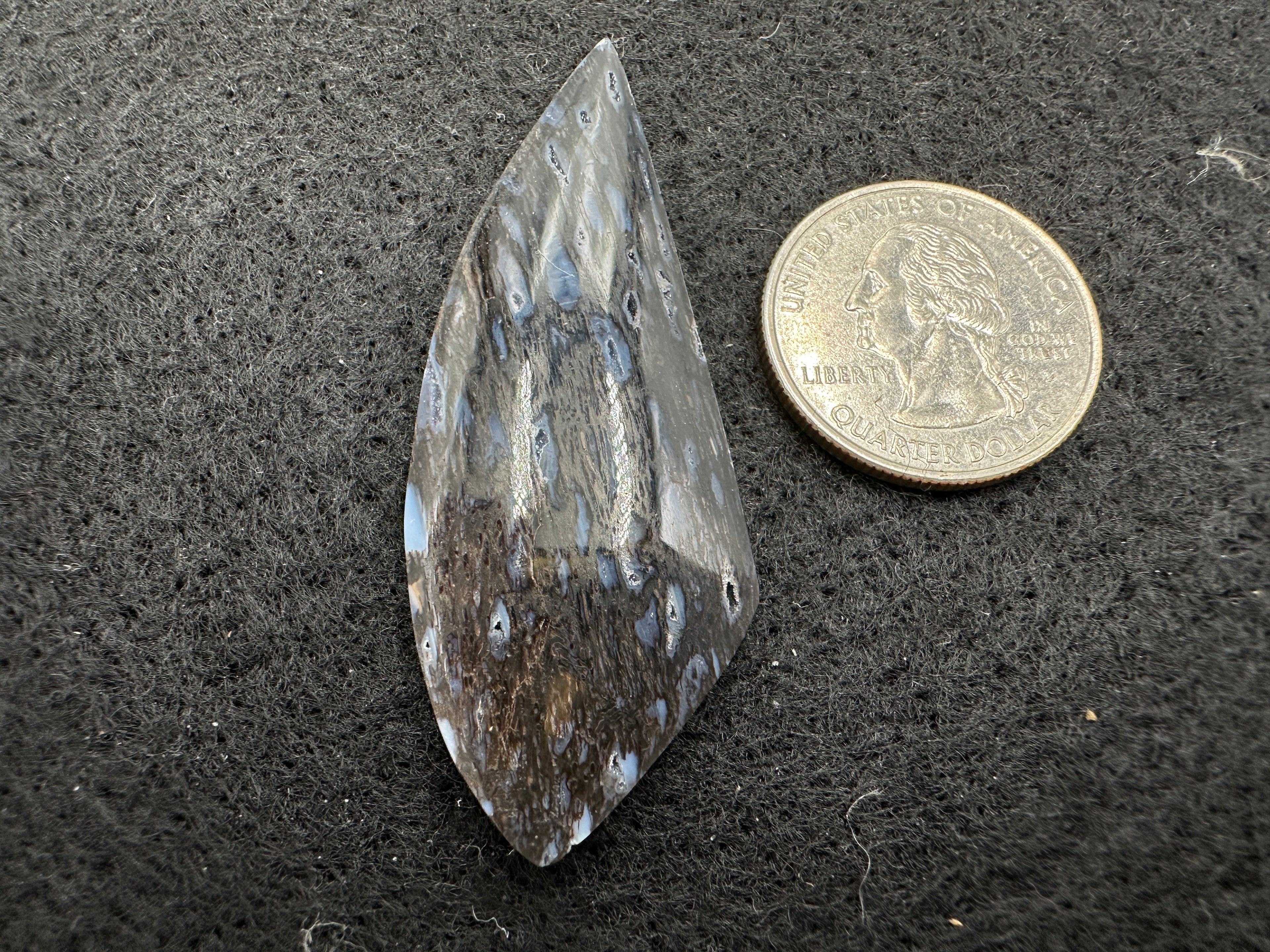 Indonesian Bone Wood Cabochons