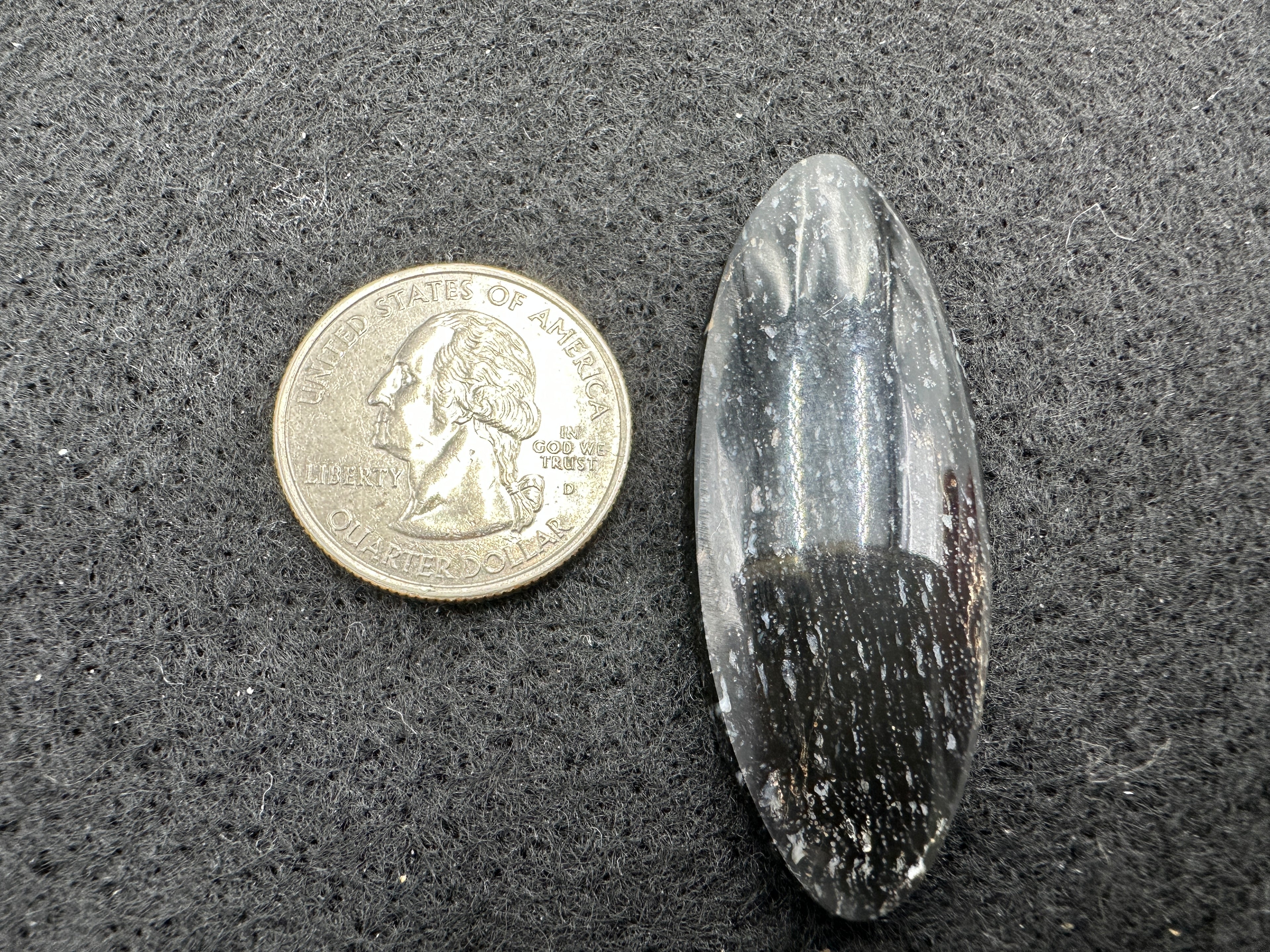 Indonesian Bone Wood Cabochons