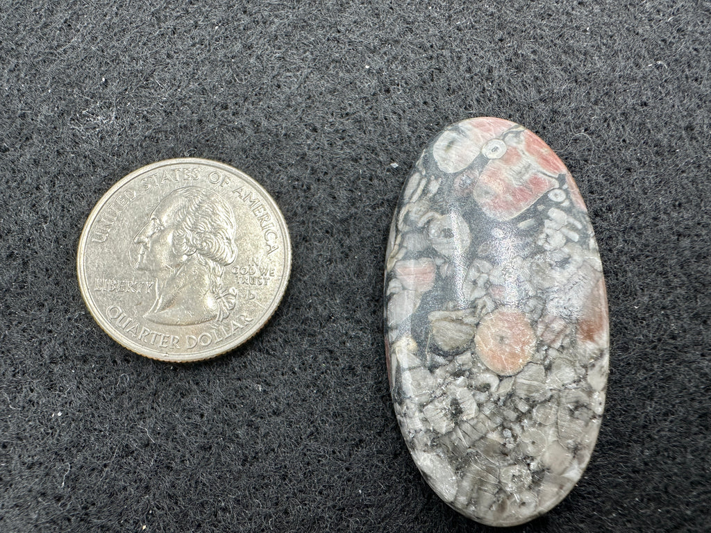 Pink Crinoid Cabochons