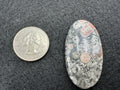 Pink Crinoid Cabochons