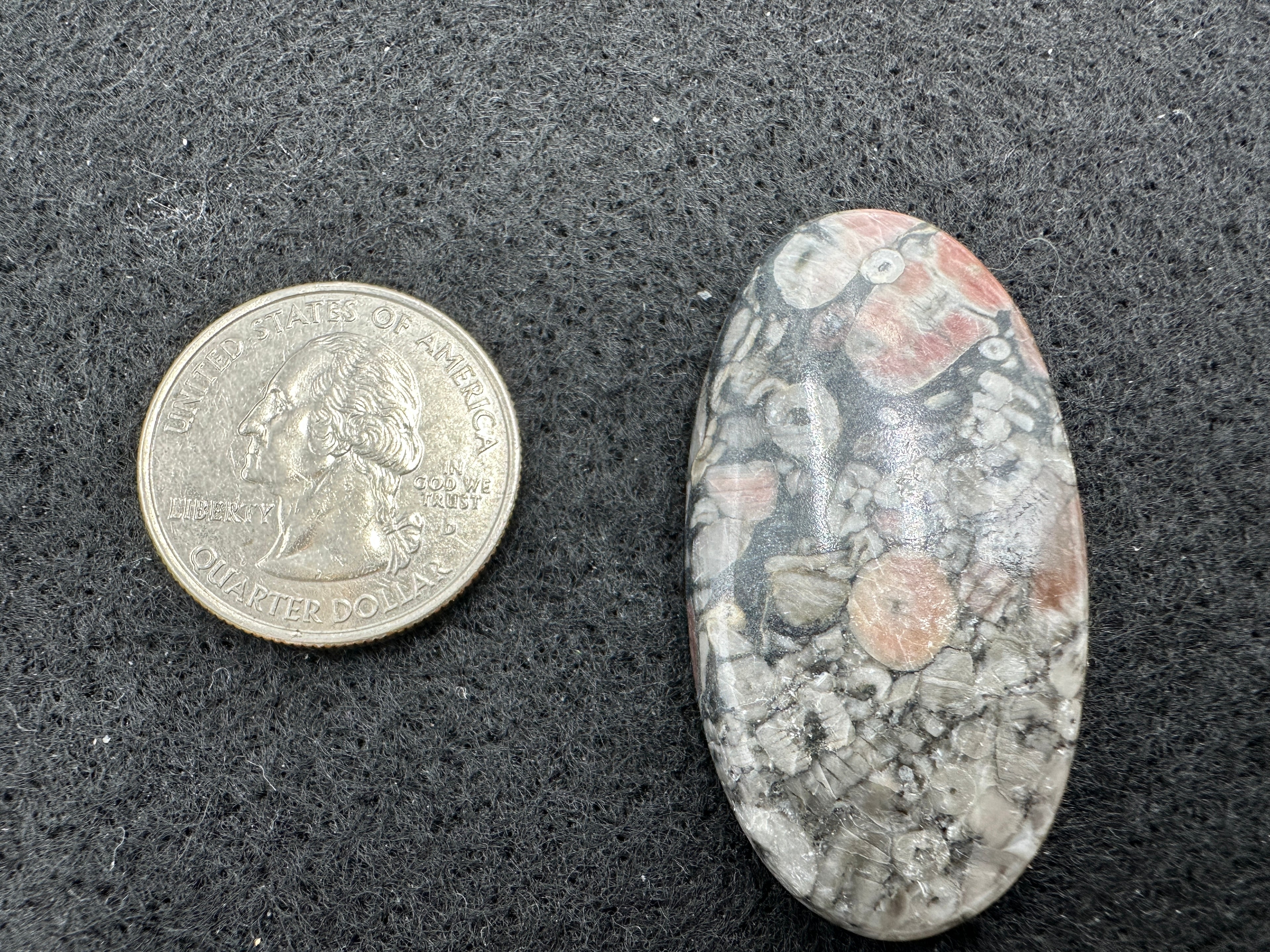 Pink Crinoid Cabochons