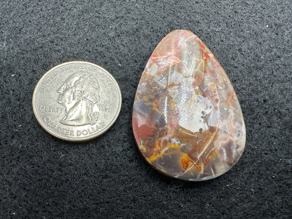 Wyoming Coporolite (Dinosaur Poo) Cabochons