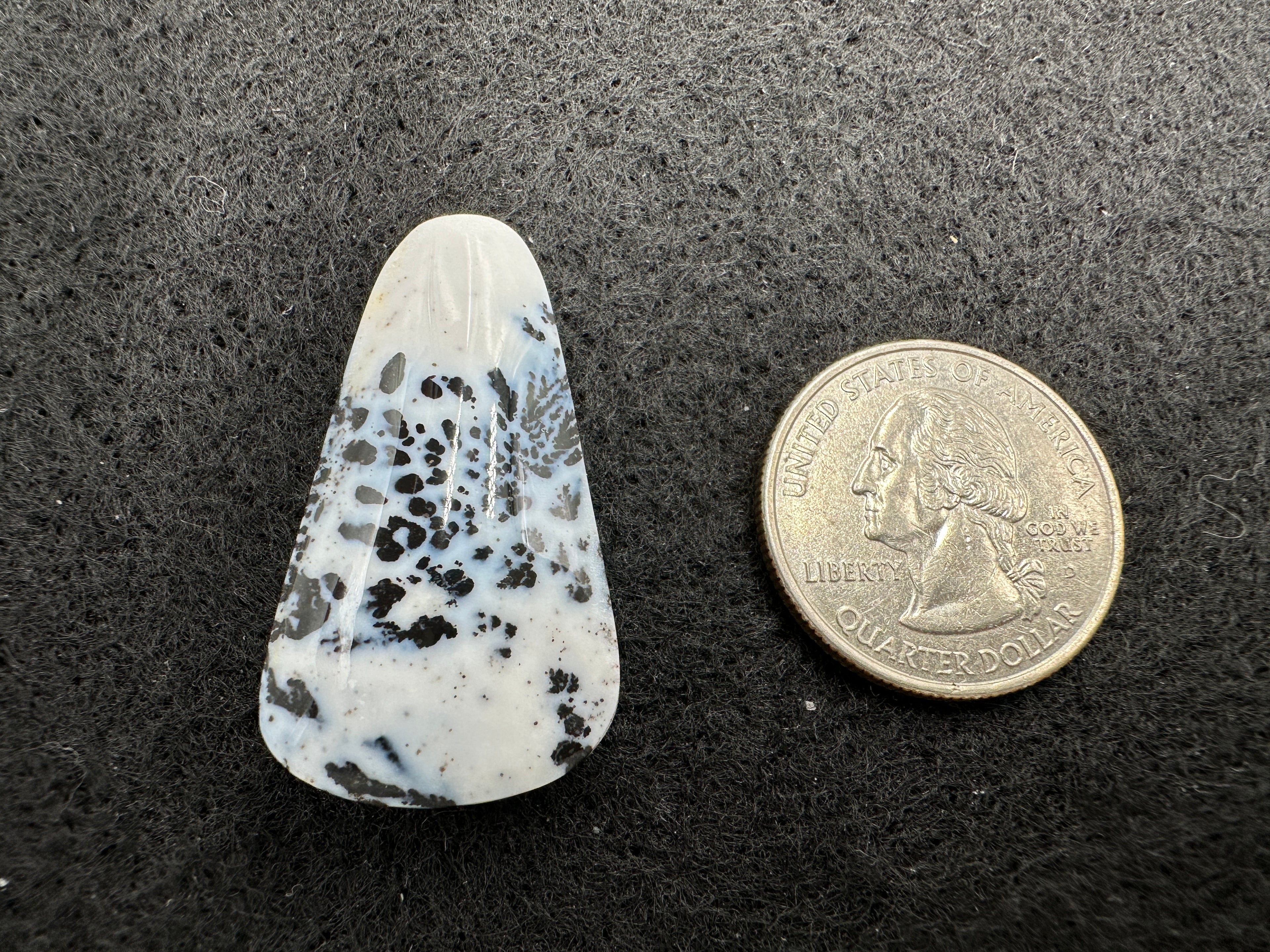 Parral (Arbolito) Agate Cabochons