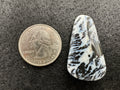 Parral (Arbolito) Agate Cabochons