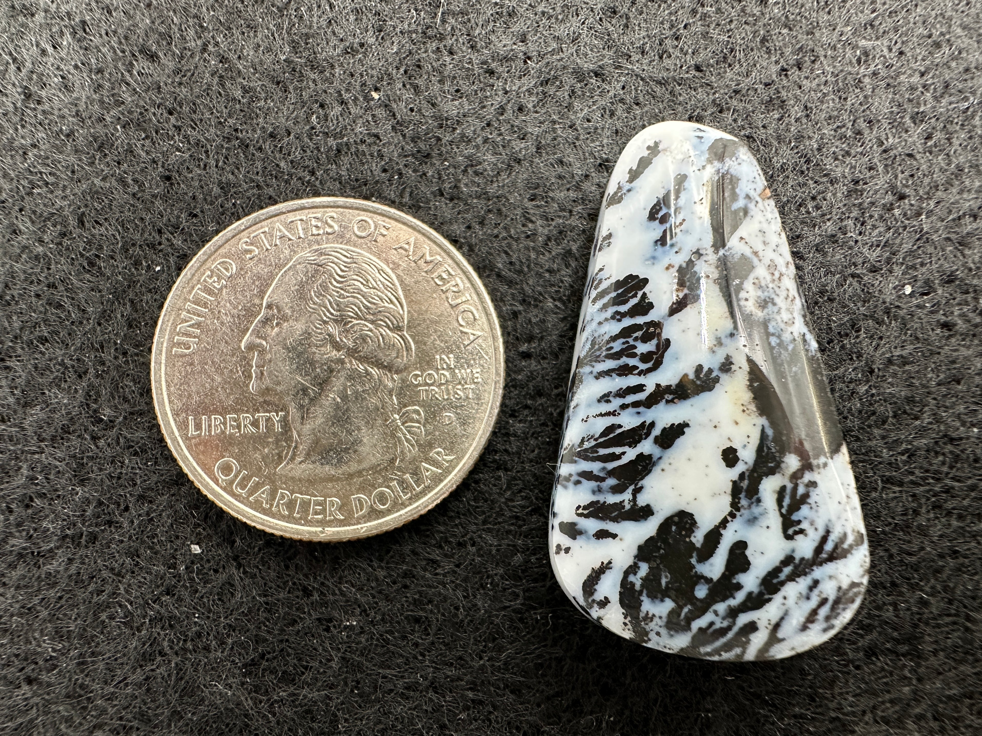 Parral (Arbolito) Agate Cabochons