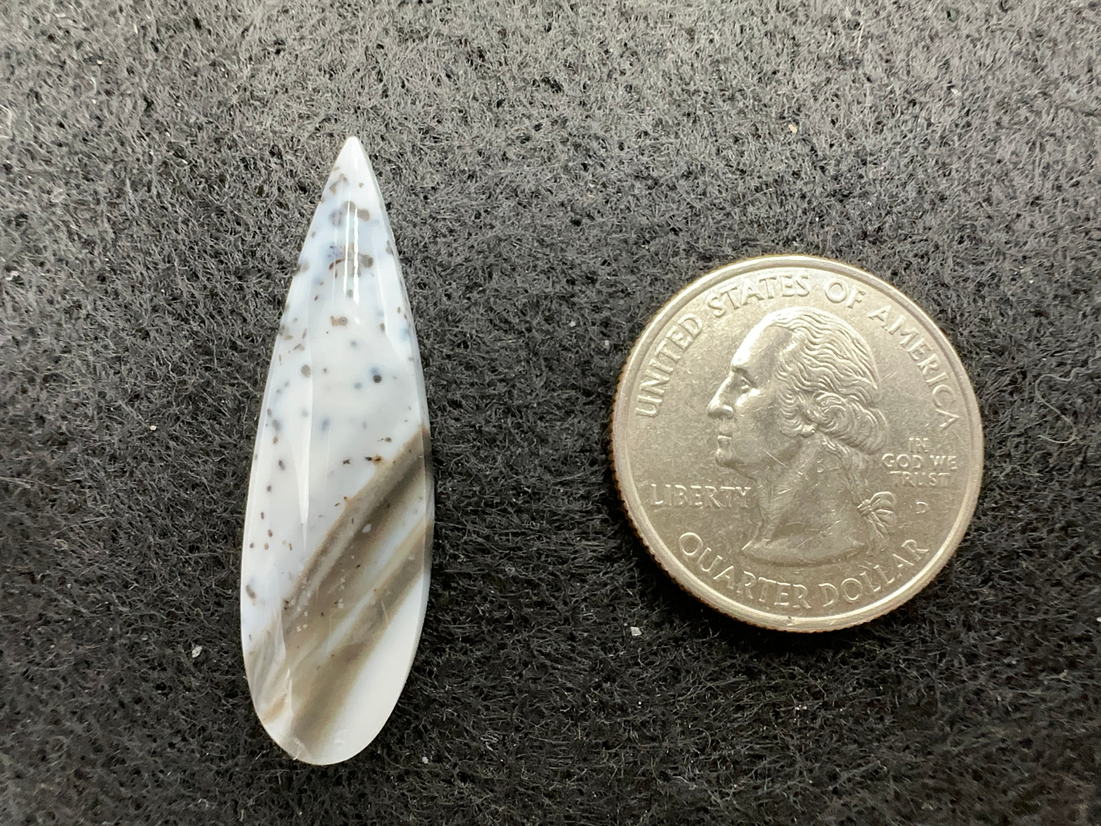 Parral (Arbolito) Agate Cabochons