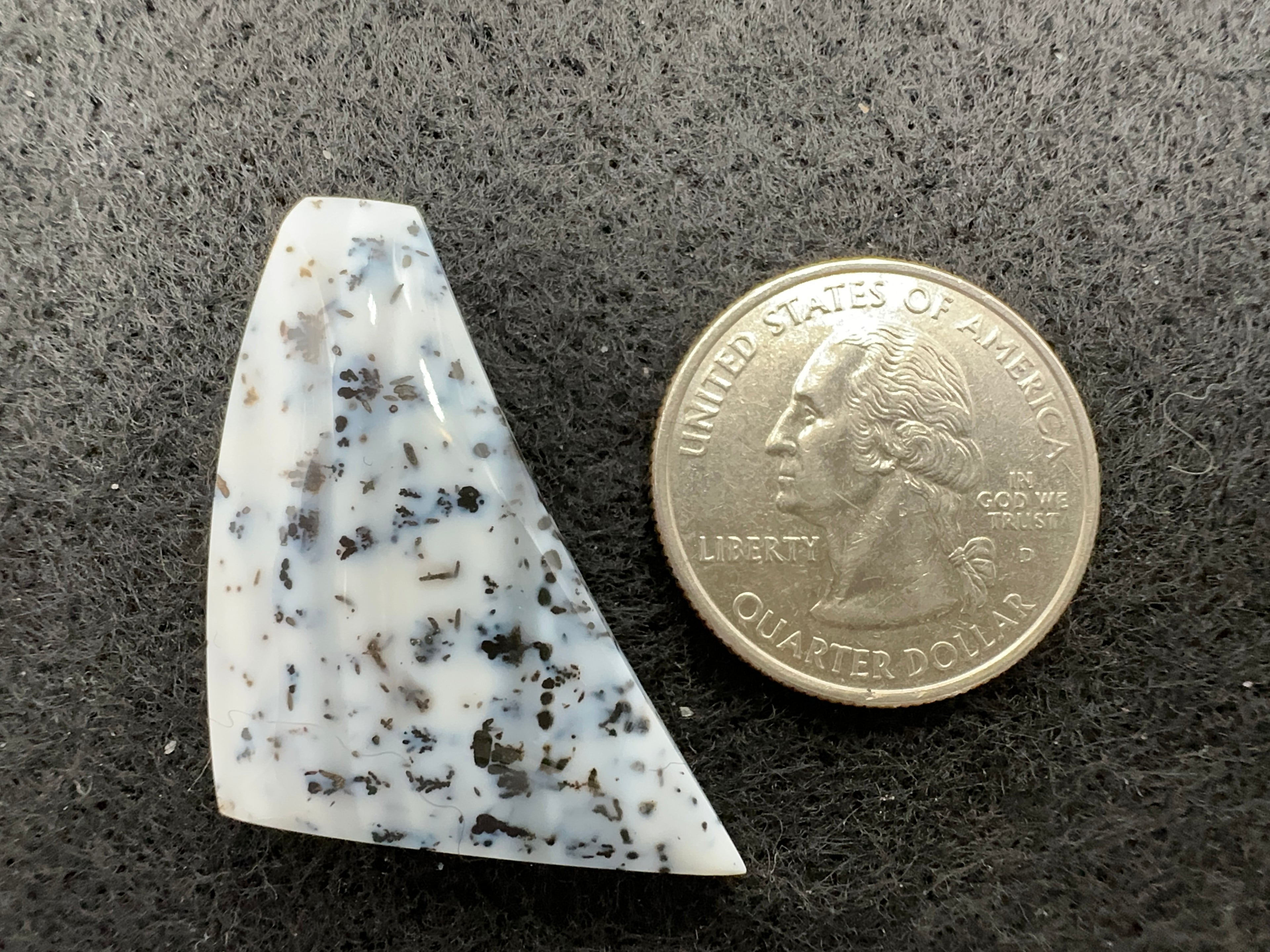 Parral (Arbolito) Agate Cabochons