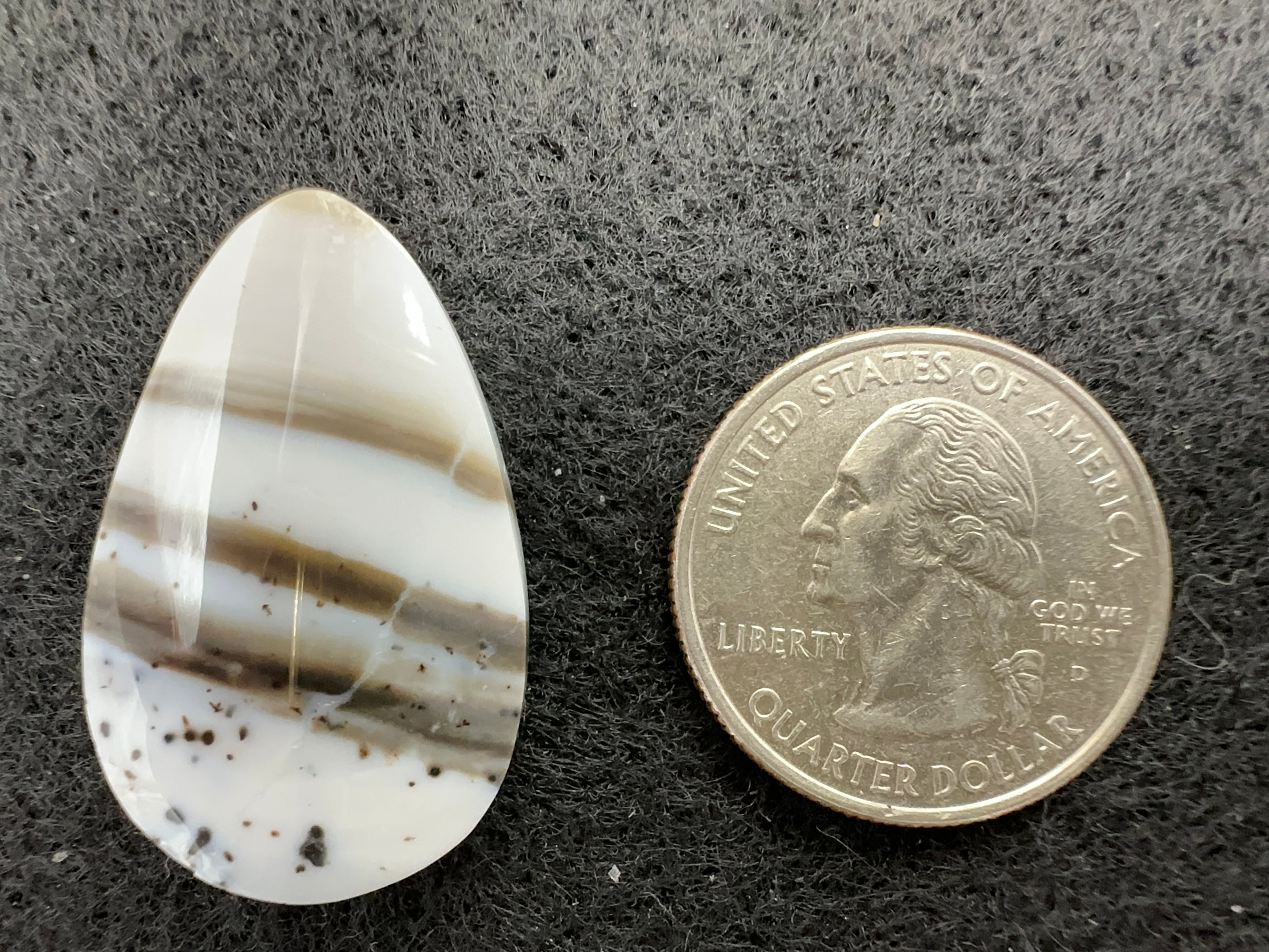 Parral (Arbolito) Agate Cabochons