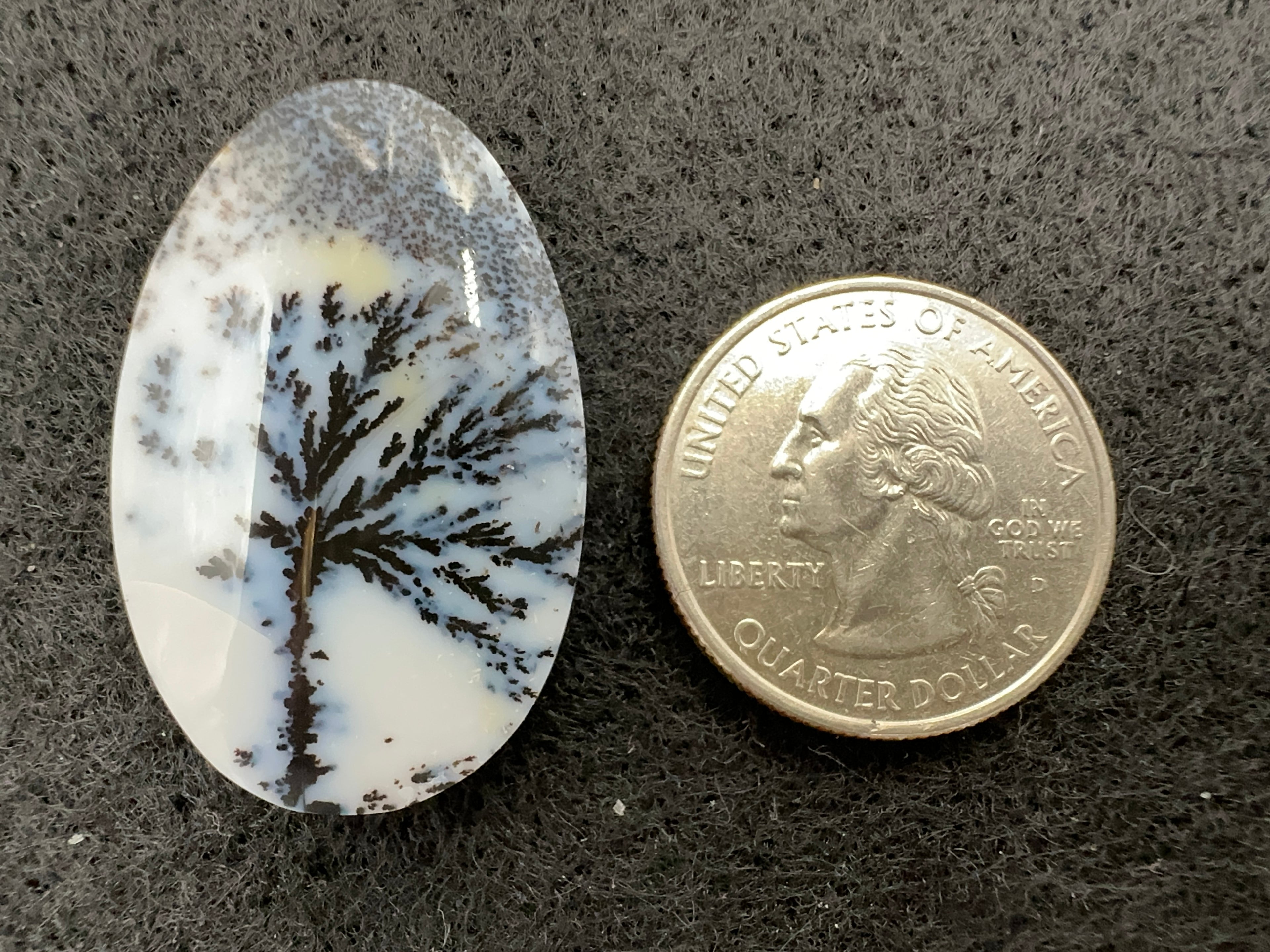 Parral (Arbolito) Agate Cabochons