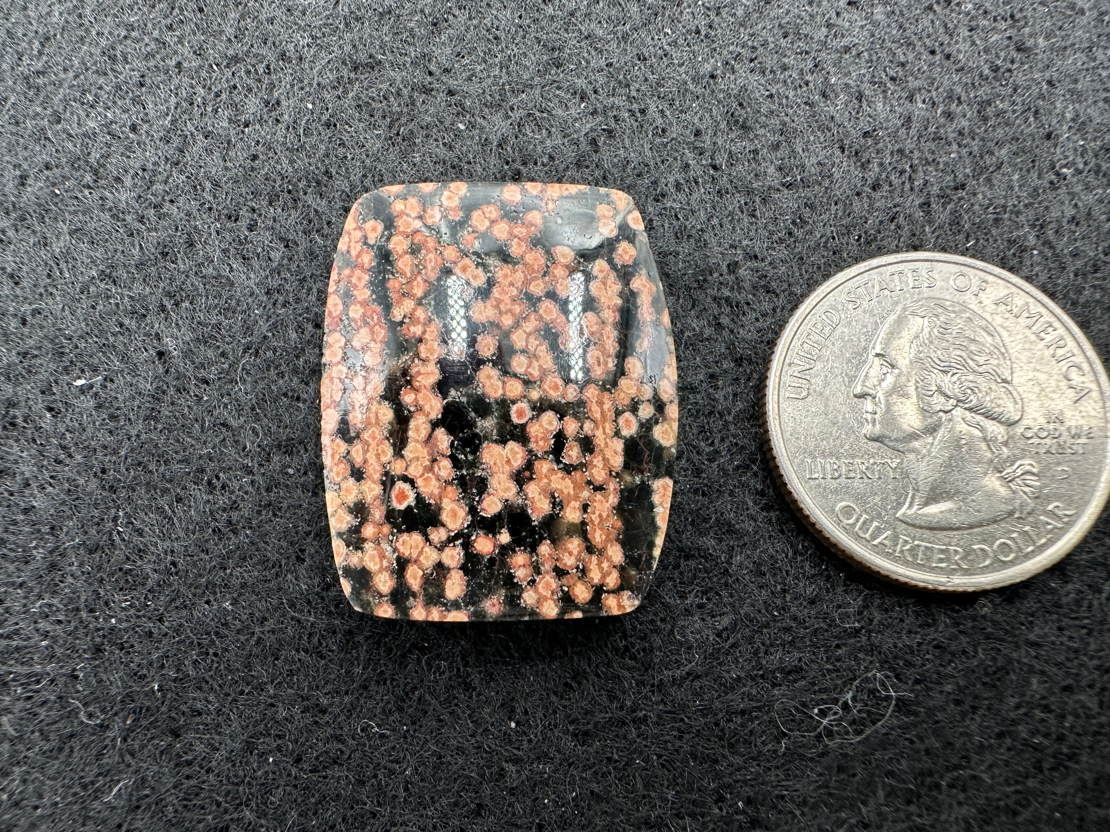Leopard Skin Jasper Cabochons