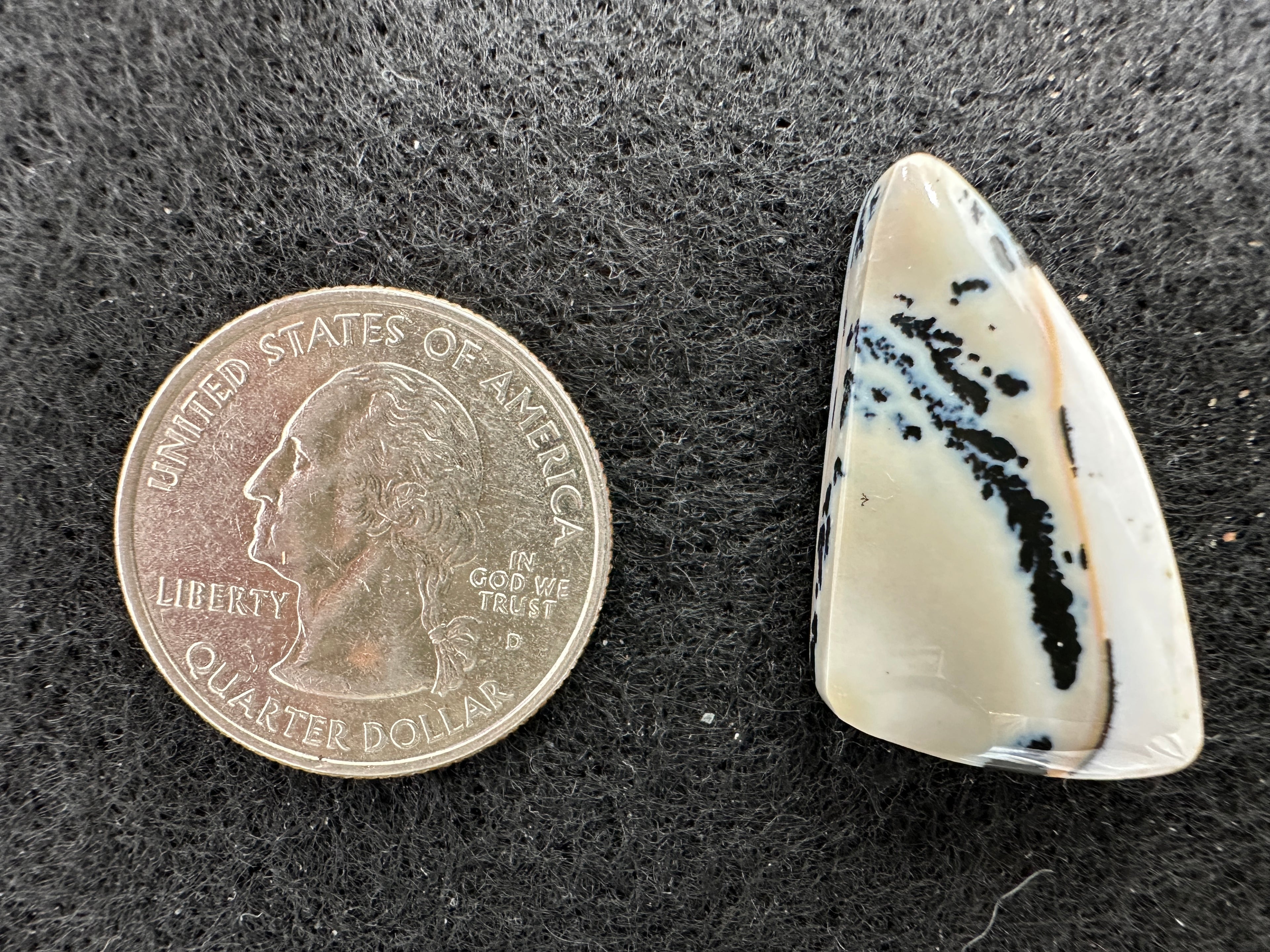 Parral (Arbolito) Agate Cabochons