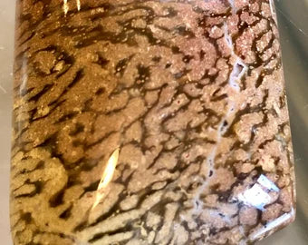 Indonesian Bone Wood Cabochons