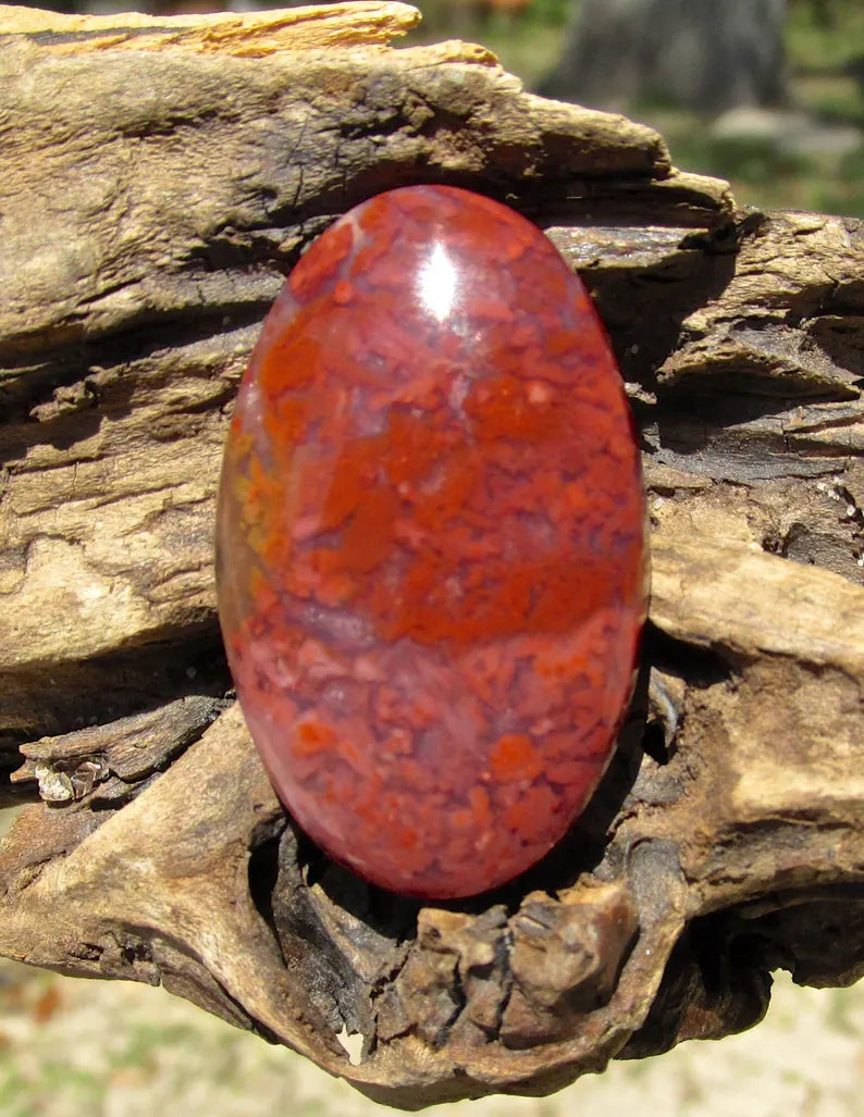Cady Mountain Jasper Cabochons