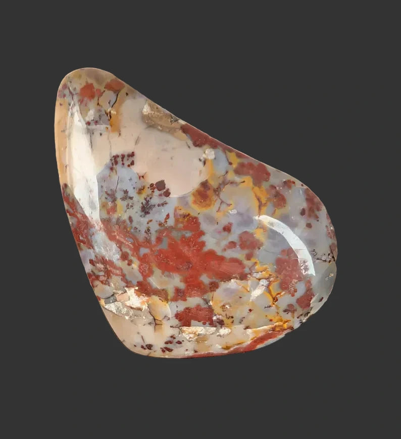 Wyoming Coporolite (Dinosaur Poo) Cabochons